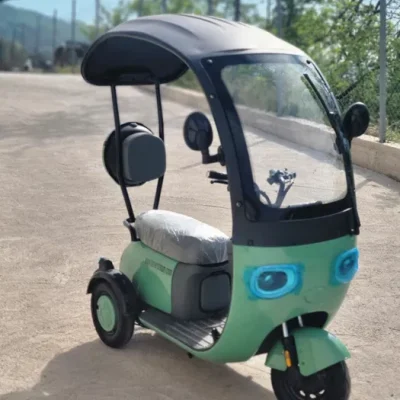 Електрическа Триколка  с Покрив